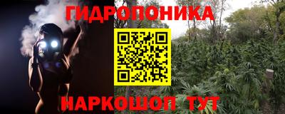 амф Кулебаки