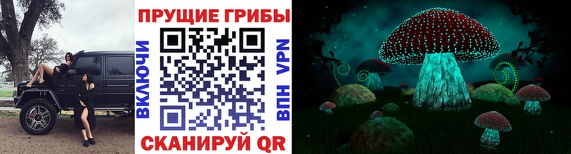 дарнет шоп  Десногорск  Псилоцибиновые грибы Cubensis 